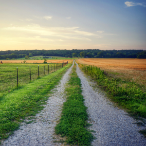 Read more about the article Get The Last Five Years Before Retirement Right