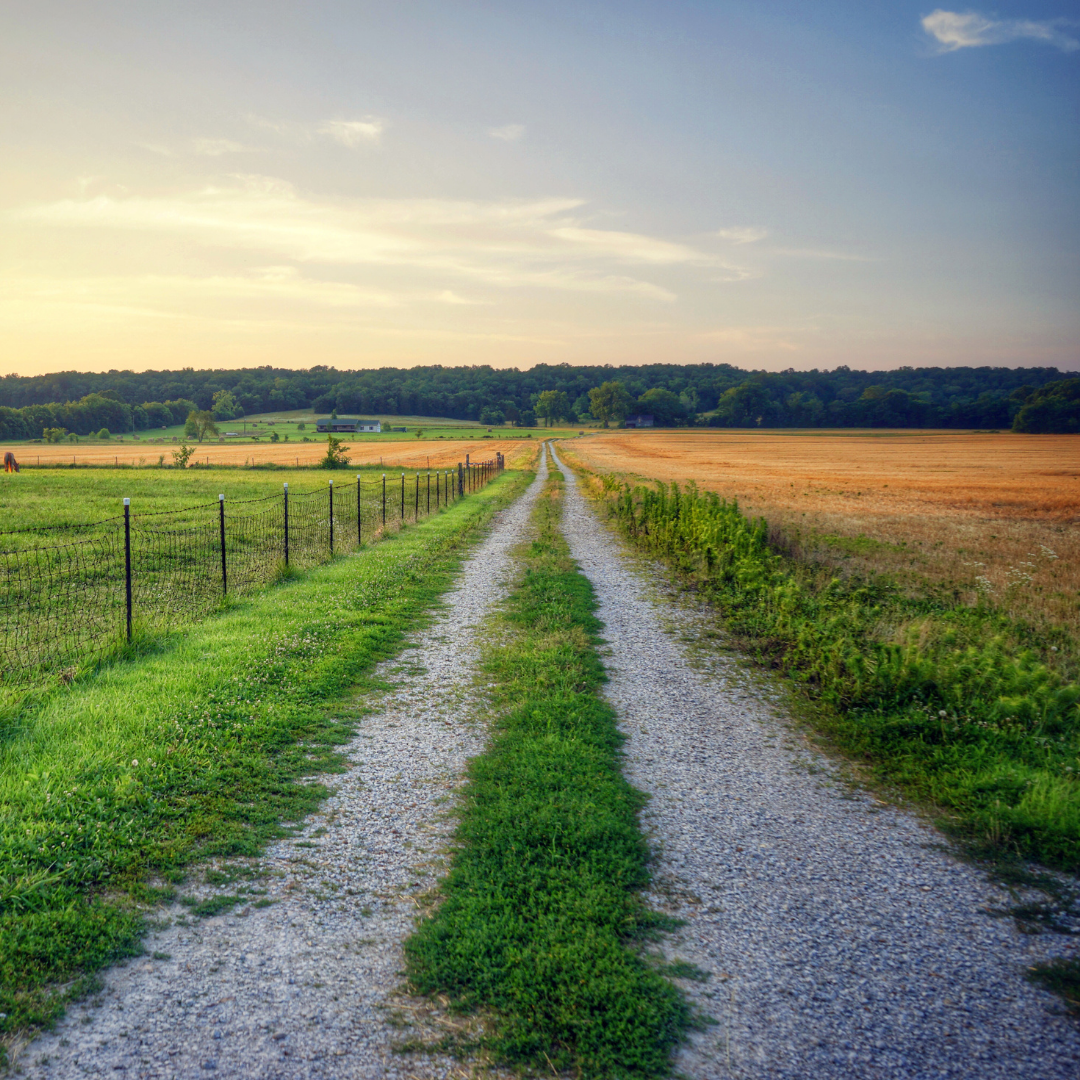 You are currently viewing Get The Last Five Years Before Retirement Right